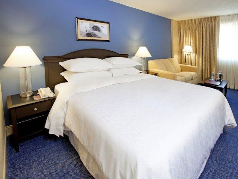 Готель Sheraton North Houston At George Bush Intercontinental Номер фото